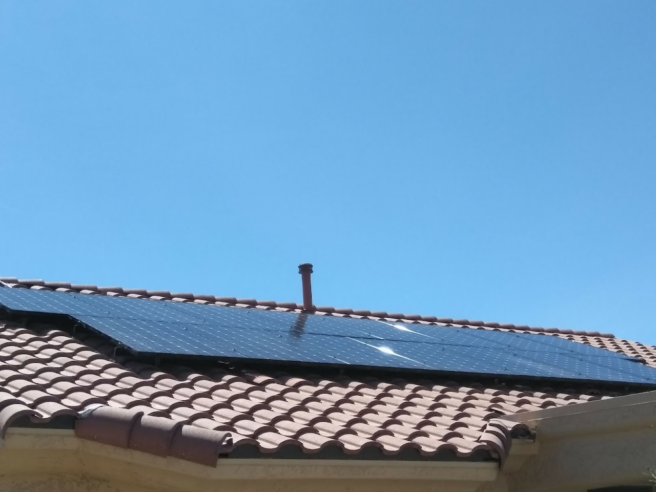 Phoenix Pigeon Control Company project