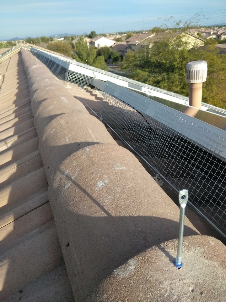 Phoenix Pigeon Control Company project